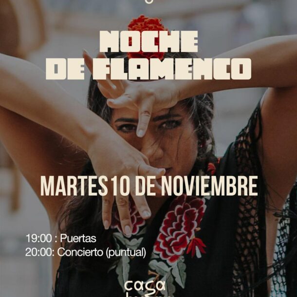 Noche de Flamenco